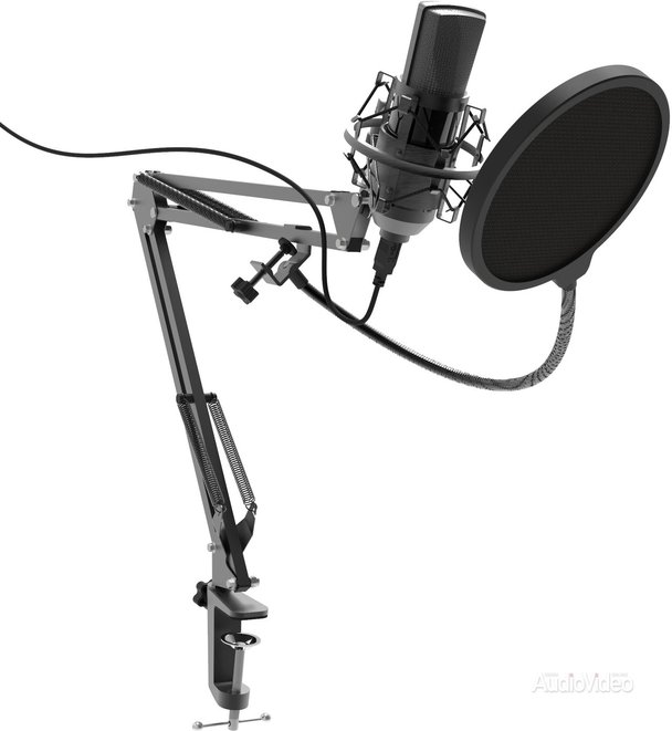 купить Студийный микрофон Ritmix RDM-175 черный в Алматы