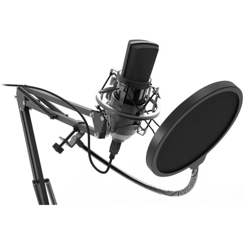 купить Студийный микрофон Ritmix RDM-169 черный в Алматы
