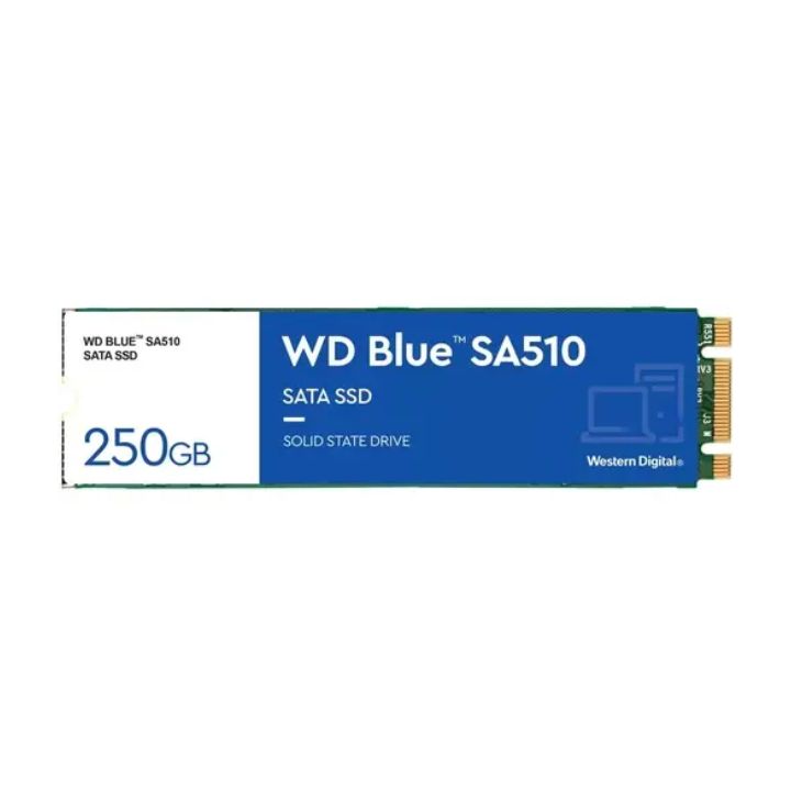 купить Твердотельный накопитель  250GB SSD WD BLUE SN570 M.2 2280 NVMe R3300Mb/s W1200M/s WDS250G3B0B в Алматы