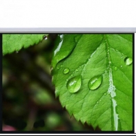 Купить Экран настенный Mr.Pixel 120* X 120* (3,05 X 3,05) Алматы