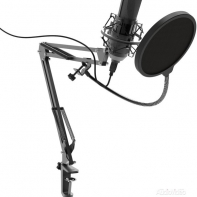 купить Студийный микрофон Ritmix RDM-175 черный в Алматы фото 1