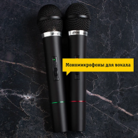 купить Микрофонная система Ritmix RWM-210 в Алматы фото 4