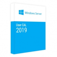 Купить MS Windows Server CAL 2019 English MLP 20 AE User CAL Алматы