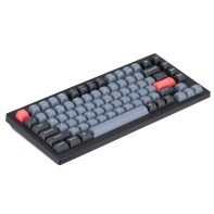 купить Клавиатура Keychron V1 84 Key QMK Gateron G PRO Brown Hot-Swap RGB Frosted Black (V1A3_Keychron) в Алматы фото 2