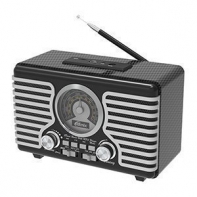 купить Радиоприемник портативный Ritmix RPR-095 серый в Алматы