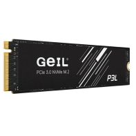 купить 512GB SSD GEIL P3L M.2 2280 PCIe3.0 NVMe P3LFD16I512D в Алматы фото 3