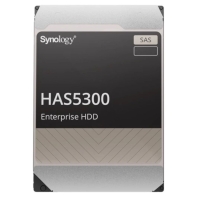 Купить Жёсткий диск Synology HDD HAS5300-12T Алматы