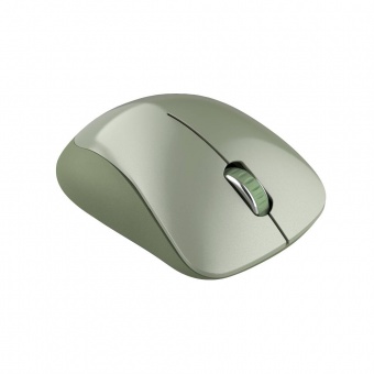 купить Canyon  2.4 GHz  Wireless mouse ,with 3 buttons, DPI 1200, Battery:AAA*2pcs  ,special military67*109*38mm 0.063kg в Алматы