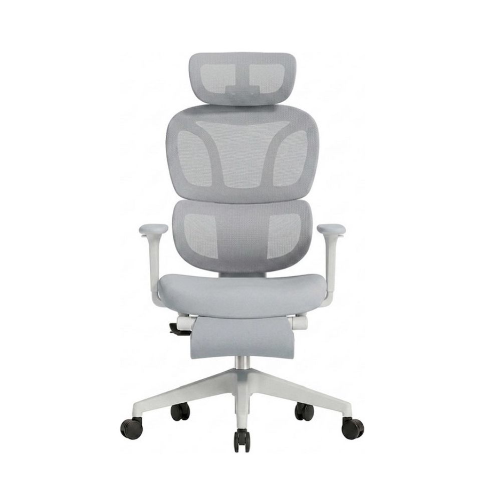 Купить Кресло офисное FlexiSpot BS5CG-PRO, регулировка высоты, подлокотник 1D, выдвижная подножка, CloudGry в Алматы