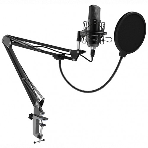 купить Микрофон Ritmix RDM-169 черный в Алматы
