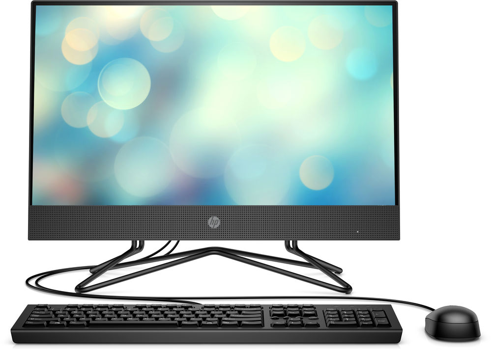 купить Моноблок HP Europe 205 G4 AiO (2T8G6ES#ACB) в Алматы
