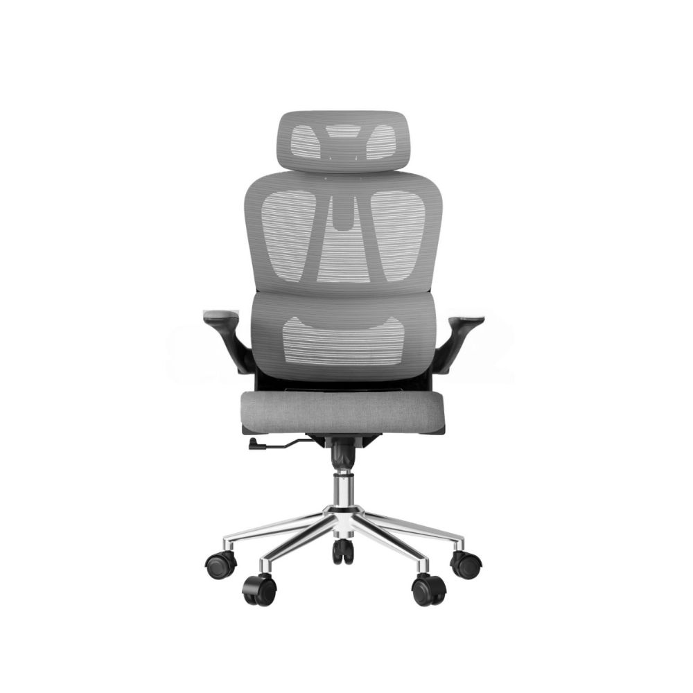 купить Кресло офисное FlexiSpot OC19BG, регулировка высоты, подлокотник 1D, Gray в Алматы