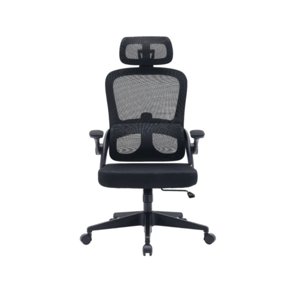 купить Кресло офисное Sihoo M102C-M101, регулировка высоты, подлокотник 3D, Black в Алматы