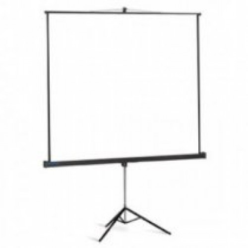 купить Экран моторизированный Mr.Pixel 180* X 240* (4,57 X 6,10) в Алматы