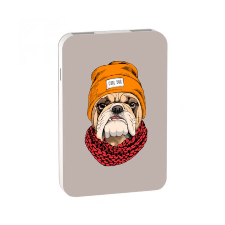 купить Зарядное устройство Power bank Ritmix RPB-10007 Bulldog в Алматы