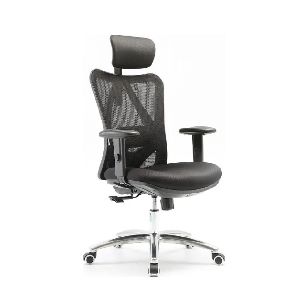 купить Кресло офисное Sihoo M18-025, регулировка высоты, подлокотник 1D, Black в Алматы