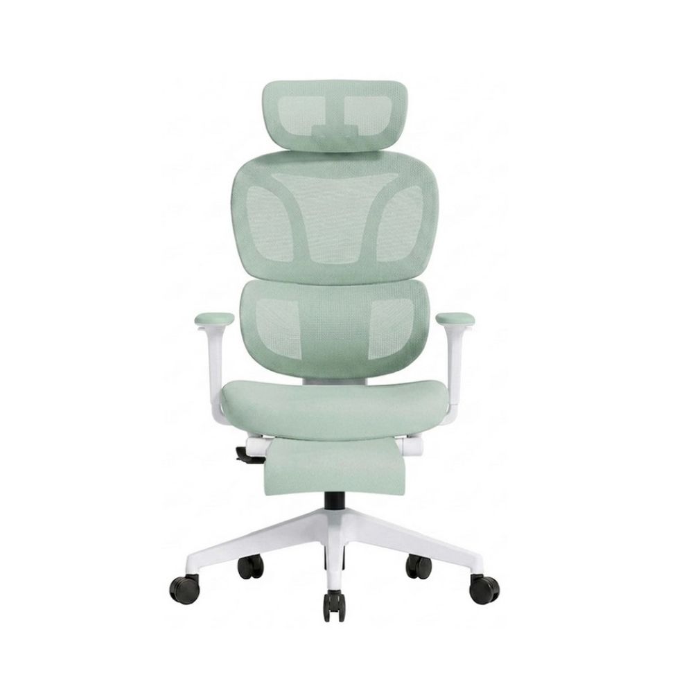 Купить Кресло офисное FlexiSpot BS5LG-PRO, регулировка высоты, подлокотник 1D,выдвижная подножка,LightGreen в Алматы
