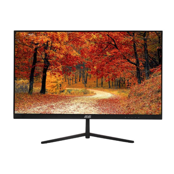 купить Монитор 2Е LCD 23.8* D2421B D-Sub, HDMI, Audio, IPS, 178/178, 75Hz, FreeSync, Frameless в Алматы