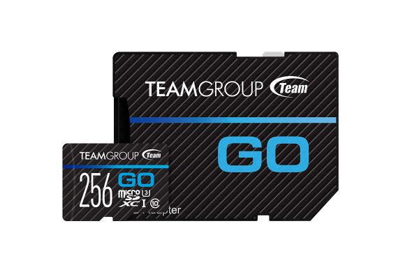 купить Карта памяти Team Group 256GB, TGUSDX256GU303 в Алматы