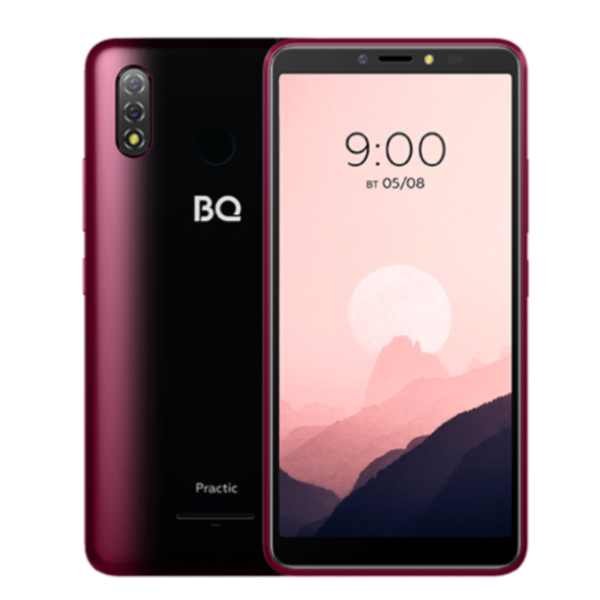 купить Смартфон BQ-6030G Practic Красный в Алматы