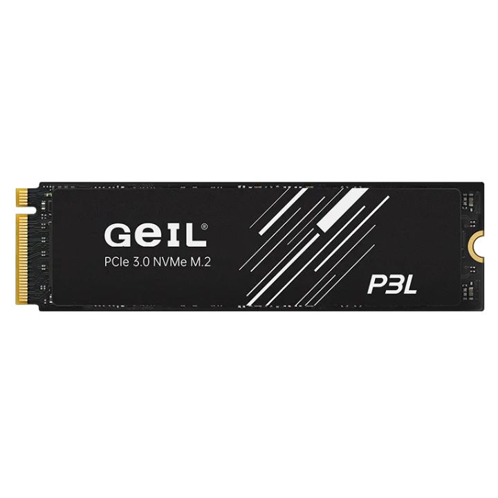 купить SSD GEIL 1000GB P3L M.2 2280 PCIe3.0 NVMe P3LFD16I1TBD в Алматы