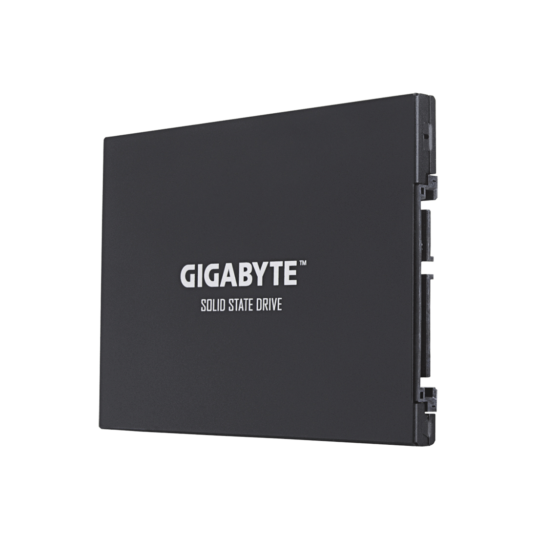 купить Твердотельный накопитель внутренний Gigabyte GSTFS30512GTTD в Алматы