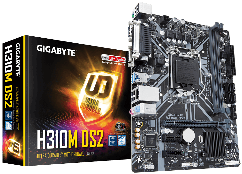 купить Материнская плата, Gigabyte, H310M DS2 (4719331803803), LGA1151v2, iH310, 2xDDR4, 4xSATA3, 1xM.2, 1xD-Sub, 1xDVI-D, 1xHDMI, 1xPCI-Ex16, 2xPCI-Ex1, mATX в Алматы