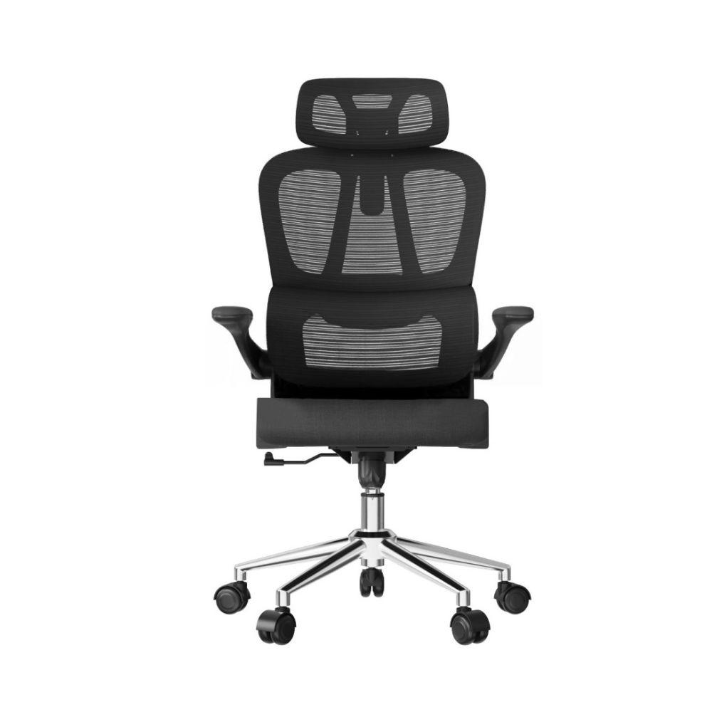 купить Кресло офисное FlexiSpot OC19BB, регулировка высоты, подлокотник 1D, Black в Алматы