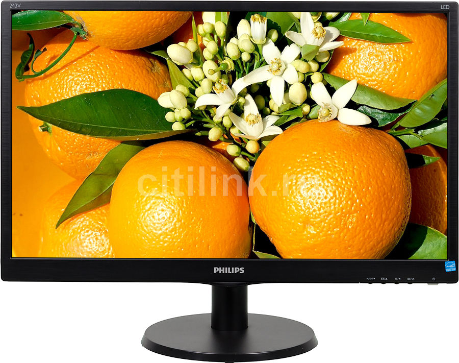 купить Монитор 23,6* PHILIPS 243V5LSB/62 TFT-матрица, Wide, 1920x1080, D-Sub, 5 мс, 250 кдм, 1000:1, 10 000 000:1, Угол Обзора 170/160.  Простая настройка характеристик дисплея с помощью SmartControl Lite. SmartContrast: для насыщенных оттенков черного. Дис в Алматы