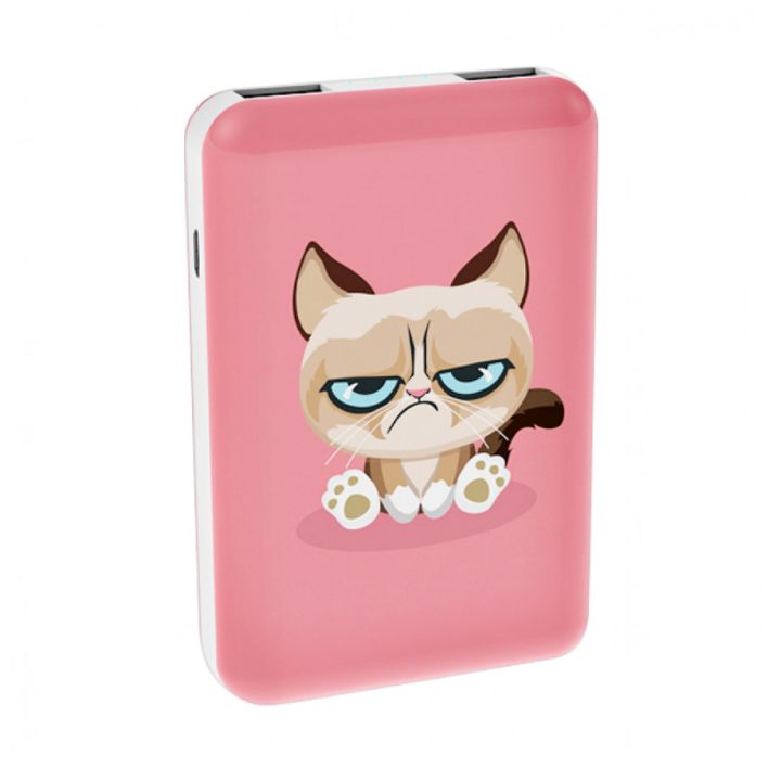 купить Зарядное устройство Power bank Ritmix RPB-10007 Grumpy Cat в Алматы