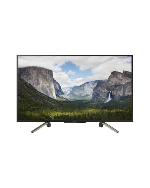 купить Телевизор Sony KDL50WF665BR в Алматы