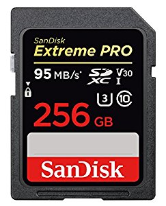 купить Карта памяти SD 256GB Class 10 U3 SanDisk SDSDXXG-256G-GN4IN в Алматы