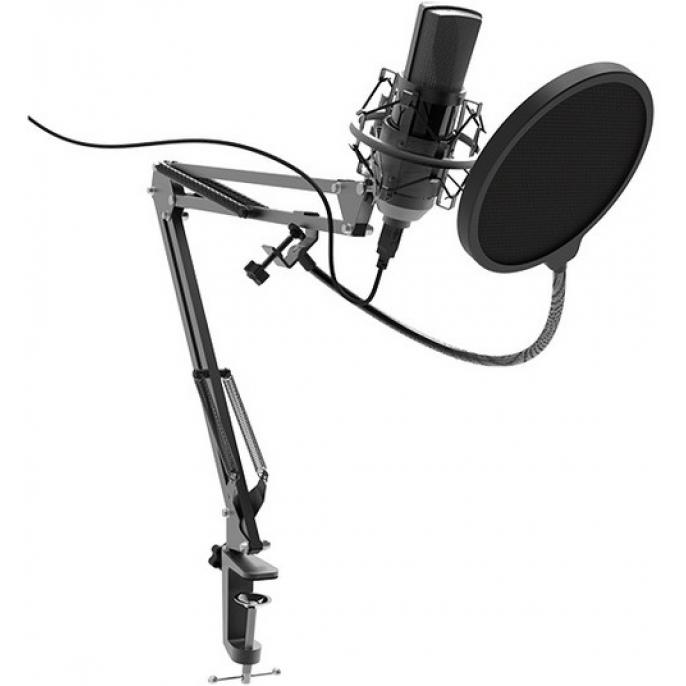 купить Студийный микрофон RITMIX RDM-180 черный в Алматы