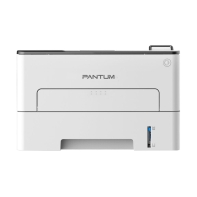 купить Принтер Pantum P3300DW (А4, Лазерный, Монохромный (Ч/Б) в Алматы фото 1
