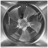 купить Сушилка для овощей и фруктов Kitfort КТ-4931 в Алматы фото 3