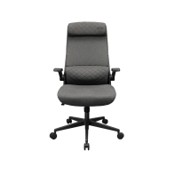 Купить Компьютерное кресло Cougar Stryder Gray Алматы