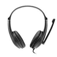 купить CANYON CHSU-1 basic PC headset with microphone, USB plug, leather pads, Flat cable length 2.0m, 160*60*160mm, 0.13kg, Black; в Алматы фото 2