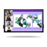 Купить Dell Pro 65 Plus 4K Touch Monitor - P6524QT /War 3Yrs Алматы
