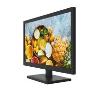 купить Монитор 18,5" Hikvision DS-D5019QE-B LED FHD 1366x768 60Hz 600:1 200cdm&sup2; 1xD-Sub 1xHDMI 9060 Черный в Алматы фото 2