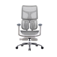 Купить Офисное кресло Sihoo S100-B203-JT белый Алматы