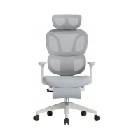 Купить Кресло офисное FlexiSpot BS5CG-PRO, регулировка высоты, подлокотник 1D, выдвижная подножка, CloudGry в Алматы