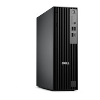 купить Компьютер Dell Pro Slim QCS1250 (210-BPRH) в Алматы фото 2