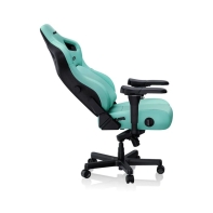 купить Kaiser 4 L в Алматы фото 2