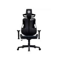 Купить Игровое кресло Canyon Morphos ABCH01 Ergonomic Black Алматы