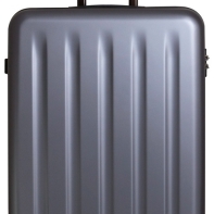 Купить Чемодан NINETYGO Danube Luggage -28**starry gray Алматы