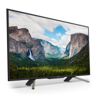 купить Телевизор Sony KDL50WF665BR в Алматы фото 2