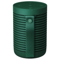 купить Портативная акустика Bang & Olufsen Beosound Explore Green (1626004) в Алматы