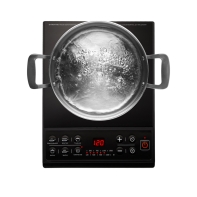 купить Плита индукционная REDMOND RIC-4601 в Алматы фото 1