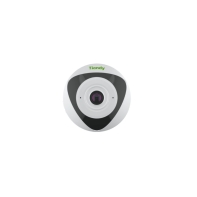 Купить TC-C35VN Spec:I3/E/Y/1.4mm/V4.2 Видеокамера Tiandy Алматы