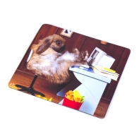 купить Mouse pad V-T (Hare) в Алматы фото 1